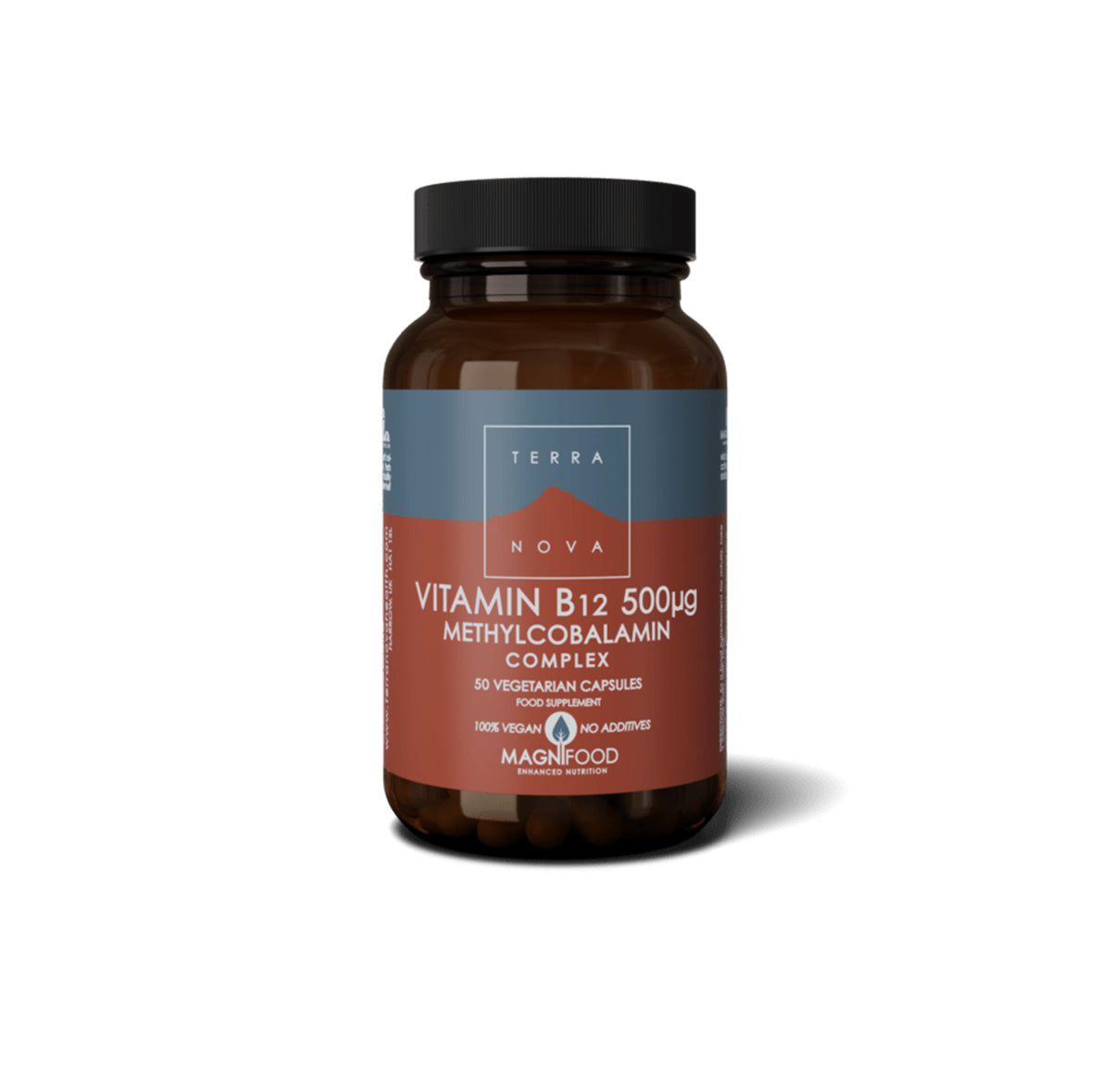 Vitamin B12 500 μg (Vitaminas B12 500 μg)
